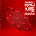 Little Things (Serum Remix|Explicit)