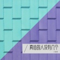 小金娃 - 真心的人没有几个DJ尼保版