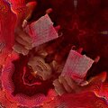 Slip - Red Dot (Explicit)