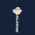 Joe Ashfield - Chlorine