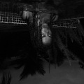 Lani - L.A. Girl (Explicit)