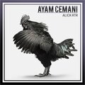Alick Rtr、Brosso - Me Conocen (Explicit)