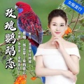 玫瑰鹦鹉恋 (女版)