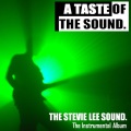 The Stevie Lee Sound - For Those Who I Love