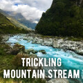 Ambient Music Bliss、Relaxing Music Therapy、Music for Sleep - Smooth Healing Treatment