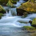 Stream: Refreshing Morning River Ambience Vol. 1
