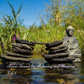 River Sound for Relaxing and Sleeping Vol. 1