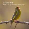 Relaxation: Birds Call on Forest Stream Vol. 1