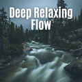 Asian Zen Spa Music Experience、Nature Calm、Reading Background Music Playlist - Downrush