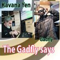 Kavana Yen、Lamin Fofana、The Gadfly - The Gadfly says (feat. The Gadfly)