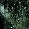 Thunderstorms、Rain Storm Sounds、Smooth Rain Sound、rainfall sleep sound、LIGHTNING - Quick sleep rainfall sound