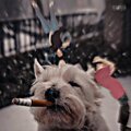 Sci-Fi (feat. Granuxi) [Explicit]