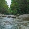 The Deep Sleep Music Academy、Sleep Doggie、Sleeping Music Academy - Flowing Through the Smokies