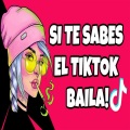 DJ Sabrosura - Baila si te sabes el TikTok