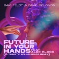 Future In Your Hands (feat. Aloe Blacc)(Futuristic Polar Bears Remix)