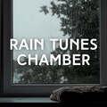Rain Recorders、Aquagirl、Calming Music Academy - Delightful Fine Rain