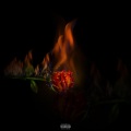 Shy Glizzy、Lee Michales - Don't Worry