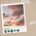 嗓音里的故事 - 爱的暴风雨