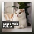 Gatos Mais Felizes