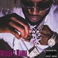 Clean - Wouldn't Wanna (Explicit)