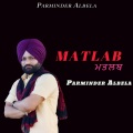 Parminder Albela - Matlab