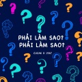 Phải Làm Sao? Phải Làm Sao? (Beat)