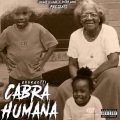 Easyyy、Paperboy Rell、Young Bossi、gook gotti - Bodied (Explicit)