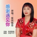 感谢遇见你 (女版)