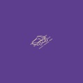Boski、Dopha、ELOQ - When I'm Back