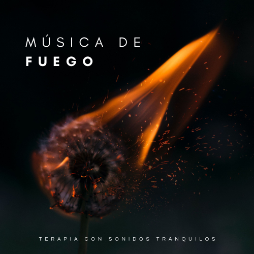 Academia de Música con Sonidos de la Naturaleza、Música Para Aliviar El Estrés、Piano Suave Relajante - Ambiente De Fogatas