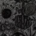astra! - ¿Voodoo? (Explicit)