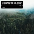 小金娃 - 我是你的格桑花