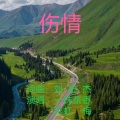 一抹茶香 - 伤情