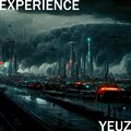 EXPERIENCE
