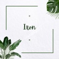 Aditya Rao - Iron