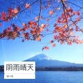 谢小俊 - 麦田