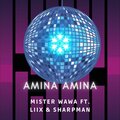 Mister Wawa、Dedrey、LIIX、Sharpman - AMINA AMINA (feat. LIIX & SHARPMAN)