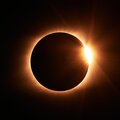 Clovers - Solar Eclipse