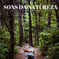 Sons Da Natureza: A Melhor Seleção De Sons Da Natureza Para Relaxamento Instantâneo
