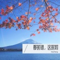 NNNZhang - 那时错，这时对