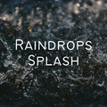 Raindrops Splash
