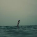 Clovers - Pressure