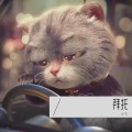 小飞 - 拜托