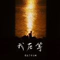 花生了什么树 - 我在等