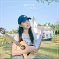 喵了个艺 - 但愿人长久
