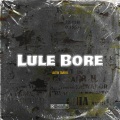 Altin Tahiri - Lule Bore