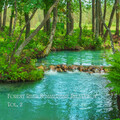 SPA、amazing Spa Experience、Relaxing and Calming - Warm Gulf Stream
