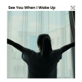 See You When I Wake Up