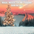 Magia, Musica, Colori E Addobbi: Buon Natale!