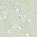 乐栖谷 - 萱草花